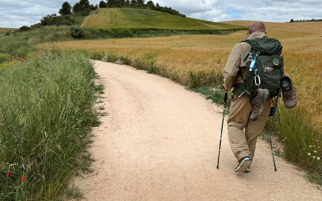 What I Learned in the Wild