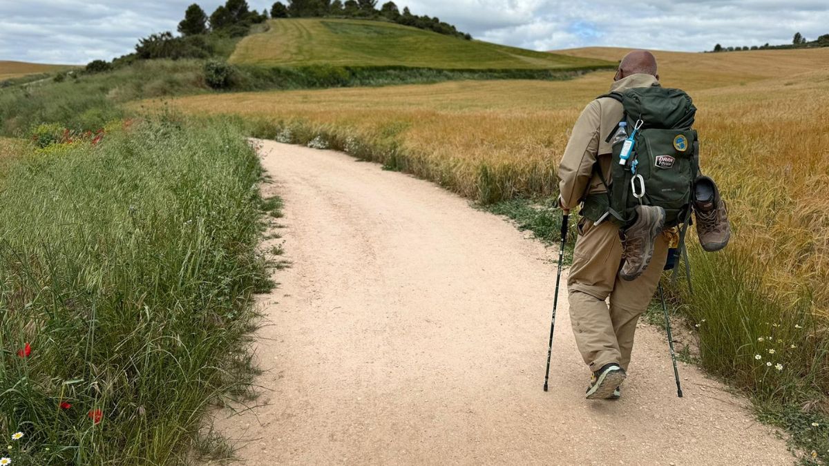 What I Learned in the Wild